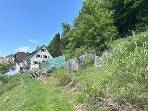 Blick vom Garten aufs Haus - 8 Zimmer Einfamilienhaus zum Kaufen in Schramberg