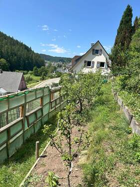 Blick vom Garten auf das Haus - 8 Zimmer Einfamilienhaus in Schramberg