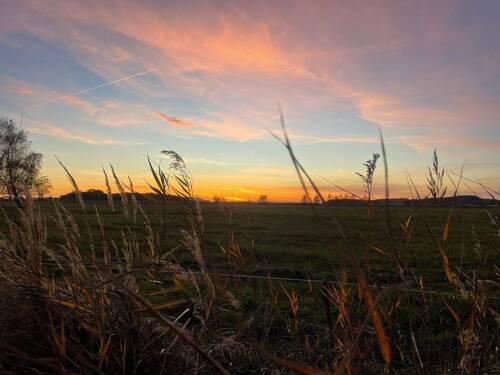 Sonnenuntergang in Groß Zicker - 