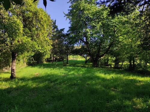 Garten - 