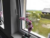 Ausblick OG - 