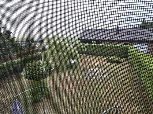Ausblick - 