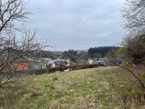 Anzeigenbild3.jpg - Grundstück in Hetzerath