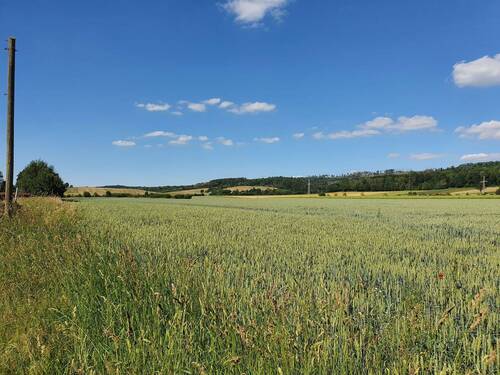 Münchehoff - 1.jpg - Einfamilienhaus mit 142,00 m&sup2; in Seesen zum Kaufen