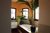 Badezimmer... - 