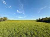 ausblick.JPG - 