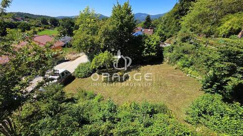 Blick in den Garten v. Freisitz - 