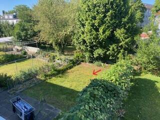 Blick in den eigenen Garten.jpg - 