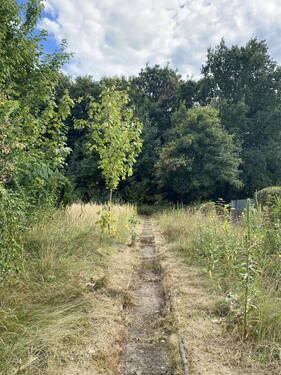 Garten Richtung Süden - 5 Zimmer Doppelhaushälfte in Bergisch Gladbach