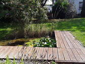 Kleiner Teich - 