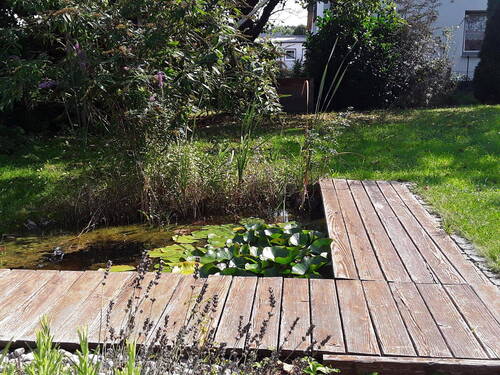 Kleiner Teich - 