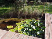 Bild 6 - 