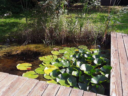Bild 6 - 