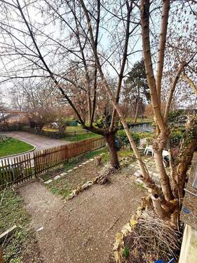 Garten_Straßenseite2.jpg - 