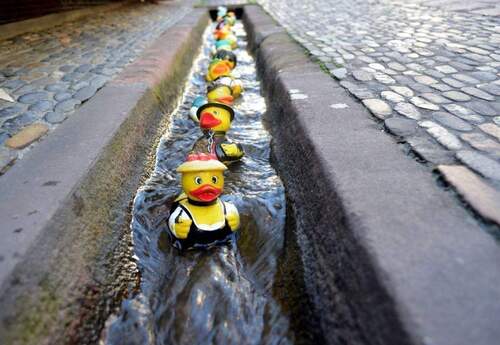 Freiburger Bächle - Vorab Information - Ruhiges Wohnen in Freiburg St. Georgen 2 bis 4 Zimmer Wohnungen