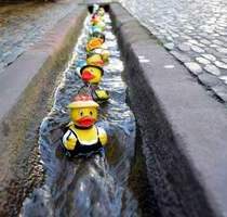 Vorab Information - Ruhiges Wohnen in Freiburg St. Georgen 2 bis 4 Zimmer Wohnungen - Freiburg im Breisgau