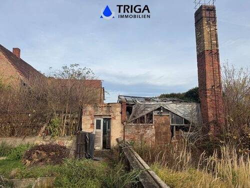 älteres Gewächshaus im Garten - 