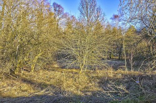 Auf gutem Grund - Grundstück in Wolfratshausen
