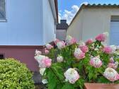 IMG 3831 - Einfamilienhaus mit 115,00 m² in Worms zum Kaufen