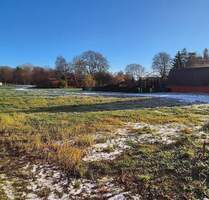 Franzburg: schönes Baugrundstück in ruhiger Lage