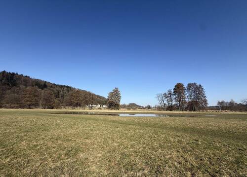 wunderschöne Umgebung am Fluss Regen - 