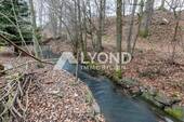 Garten - Hinterer Bereich am Bach - 