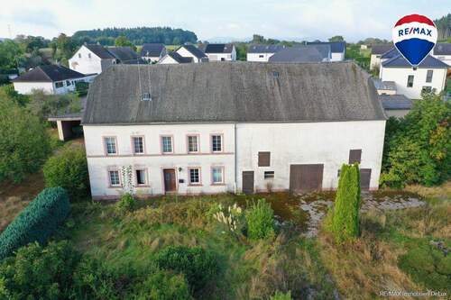 RE/MAX Immobilien DeLux - Sanierungsbedürftiges Bauernhaus in Konz - Kommlingen