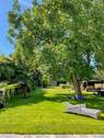 Garten - Sommer - 