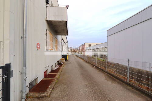 M2495 Seitenansicht 1 - 