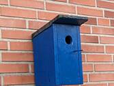 Untermieter - 