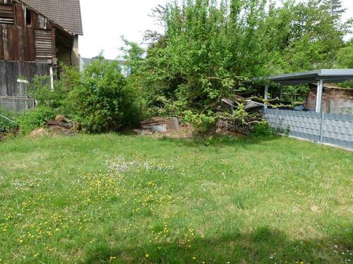 Garten - 1 Zimmer Mehrfamilienhaus, Wohnhaus zum Kaufen in Sinsheim