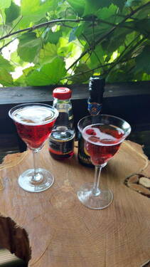 Außenbalkon vom Kaminzimmer - 