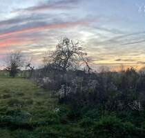 Sonnenuntergänge inklusive: Traumhaftes Randlage-Baugrundstück für DHH in Schweinheim - Aschaffenburg