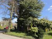 Garten e - 