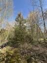 Garten a - 