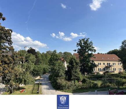 Blick - 