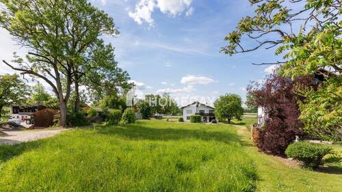 Ausblick - 
