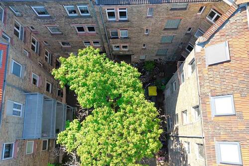 Innenhof - 2 Zimmer Einfamilienhaus in Mannheim