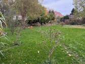 mögliches Baugrundstück hinter dem Haus.jpg - MFH mit zusätzlichem Bauplatz sucht...