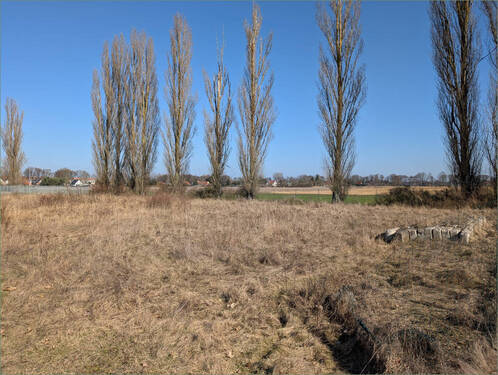 Bild 5 - 