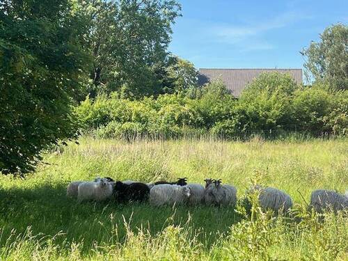 Umgebung - Halle in Renzow