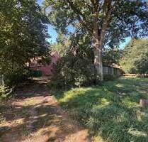 Resthof in guter Lage mit Dauergrünland, auch teilbar - Ladbergen