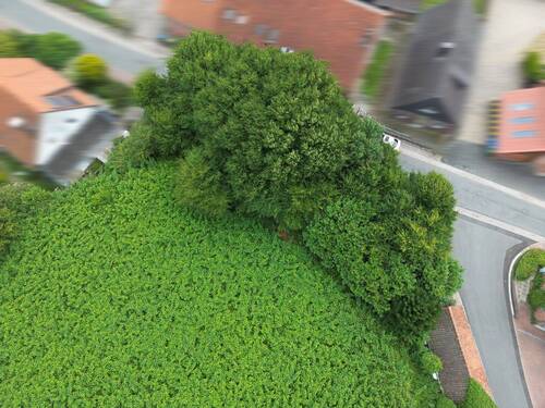 Bild 3 - Grundstück in Rinteln