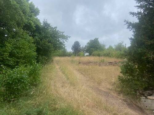 Blick vom Bungalow zur Einfart - Tor - 