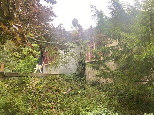 Blick zur Terrasse Bild 1 - 