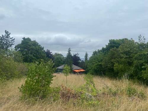 Blick v. Eingang zum Bungalow Bild 1 - Weitsicht, Wald und Ruhe - und doch in der Stadt - Arnstadt Rotehüttenweg