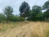 Grundstück Tor Einfahrt Bild 4 - 