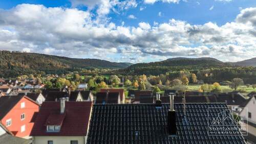 Ausblick über Fischbach - 
