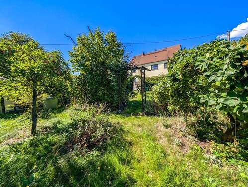 Hausanblick aus dem Garten - 