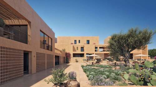 Olive Courtyard Collection - 